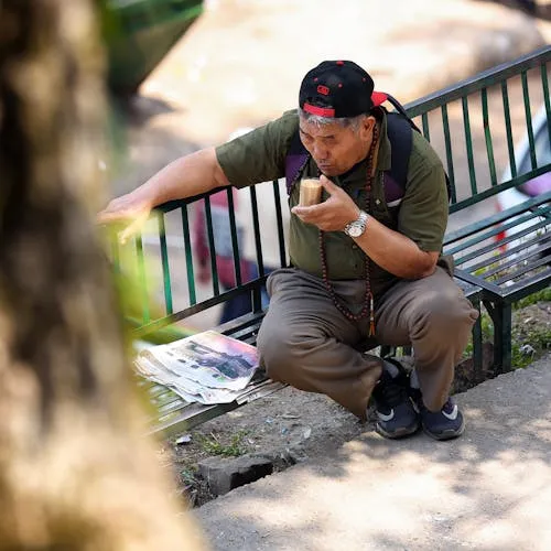 Trần Bảo Ngọc avatar
