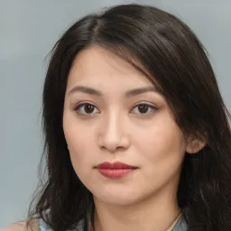 Trần Hùng avatar